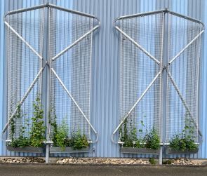 gruene-Fassade_03