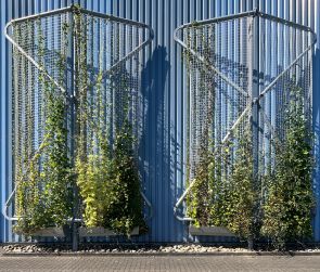 gruene-Fassade_04