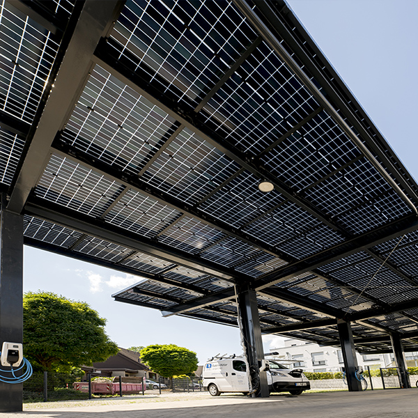 Pohlmann + Bindel - Energie - und Solarpark